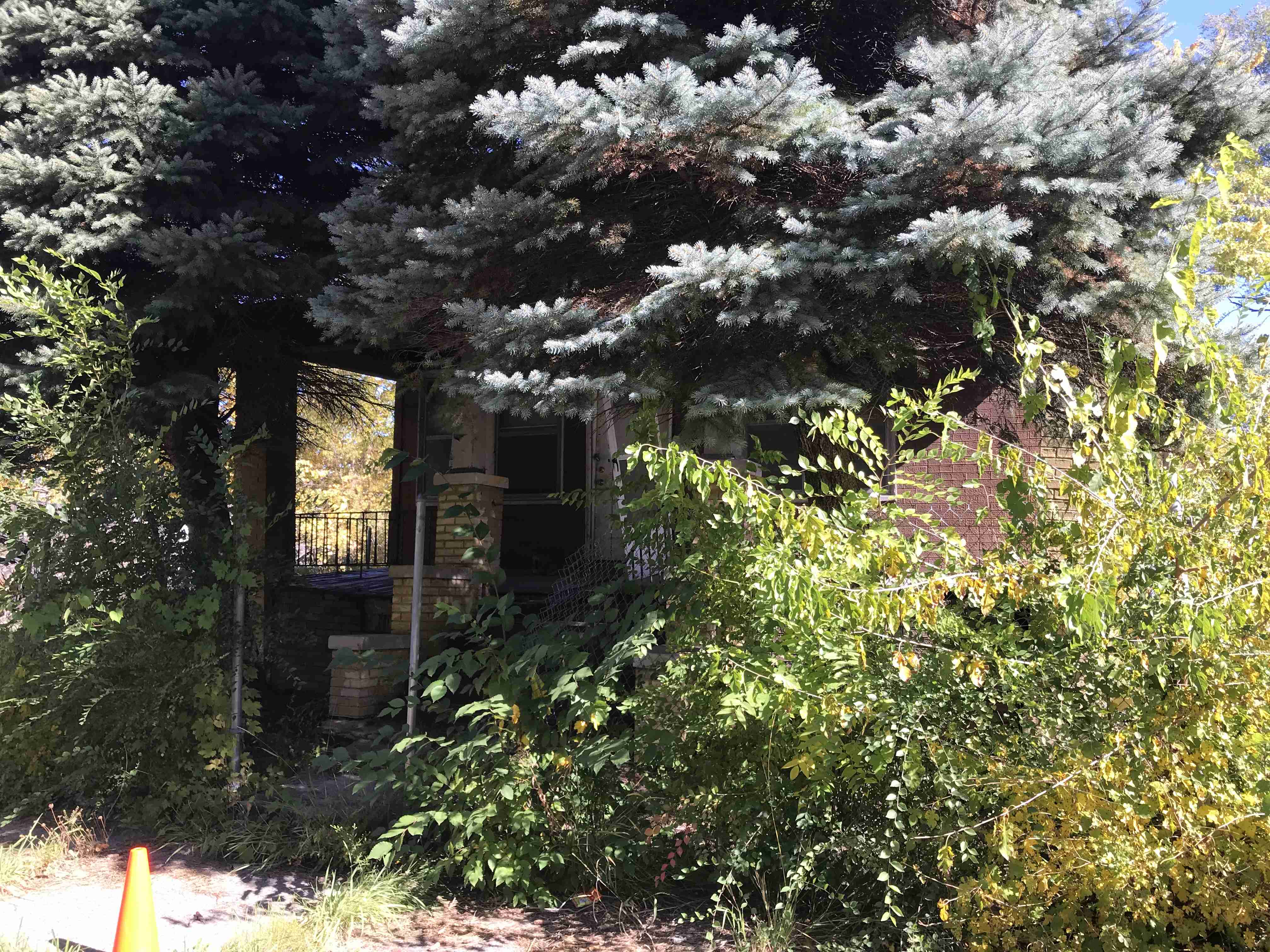 Photo Oct 13, 12 23 29 PM.jpg